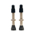 Stans Universal Tubeless-venttiilipari Regular