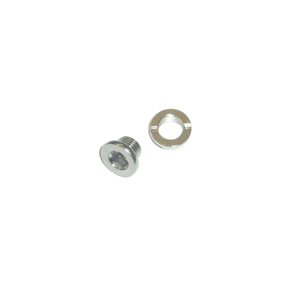 Trek Chainring-Style Derailleur Hanger Fastener (M6x6mm